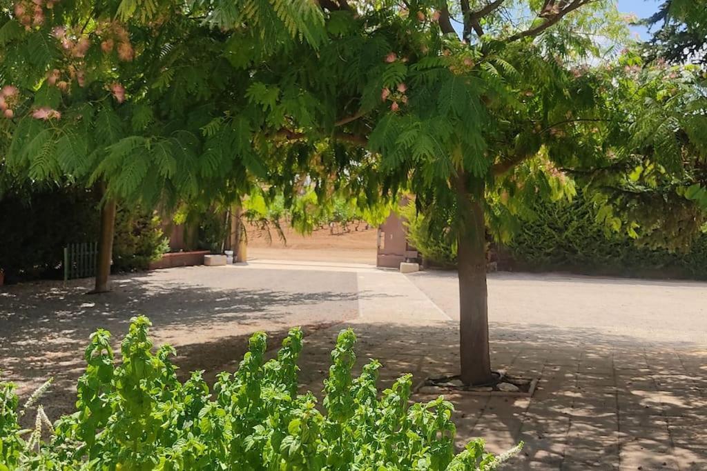 Finca El Pilar มาดริเดฮอส ภายนอก รูปภาพ